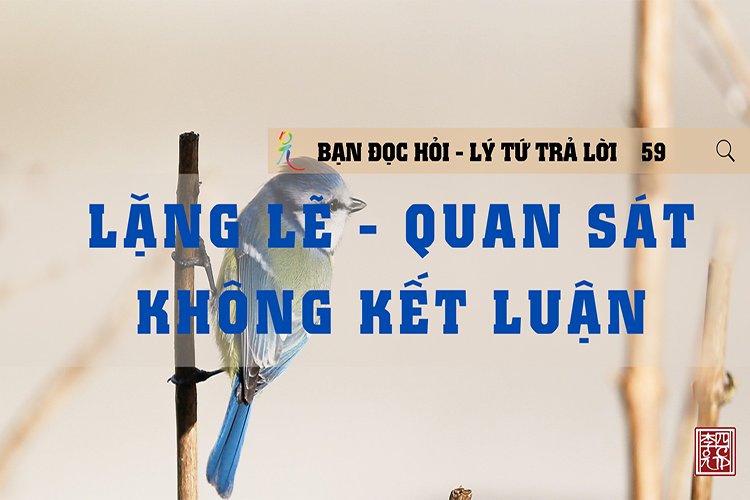 Lặng Lẽ Quan Sát Không Kết Luận