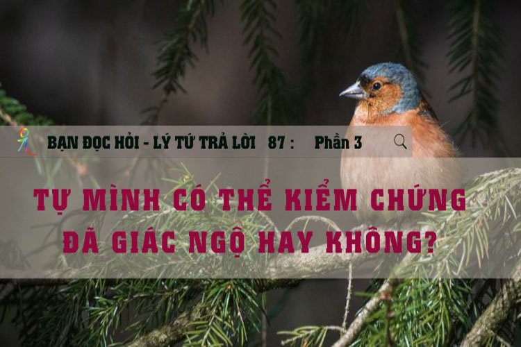 Tự Mình Có Thể Kiểm Chứng Đã Giác Ngộ Hay Không