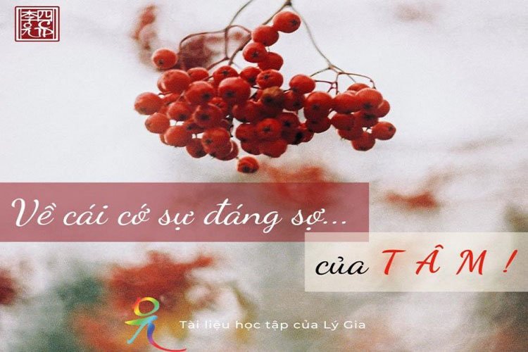 Tản Mạn Về Cái Cớ Sự Đáng Sợ Của Tâm Viết Cho HĐ Lý Gia