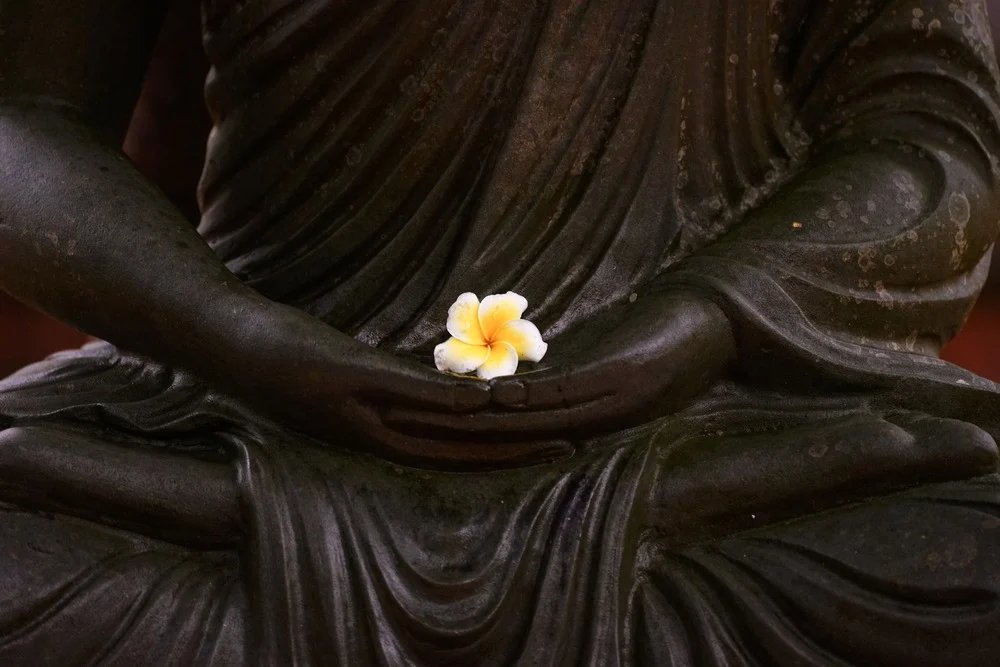 Khổ Não Tâm và Trí