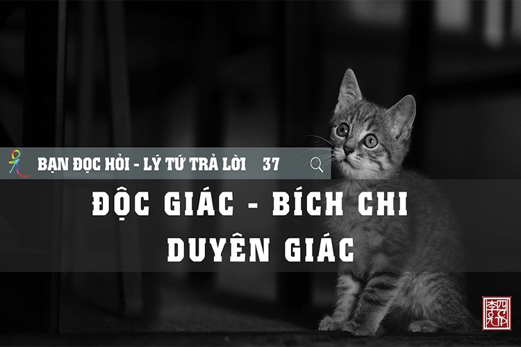 Độc Giác Bích Chi Duyên Giác