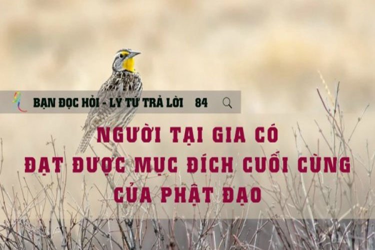 Người Tại Gia Có Đạt Được Mục Đích Cuối Cùng Của Phật Đạo