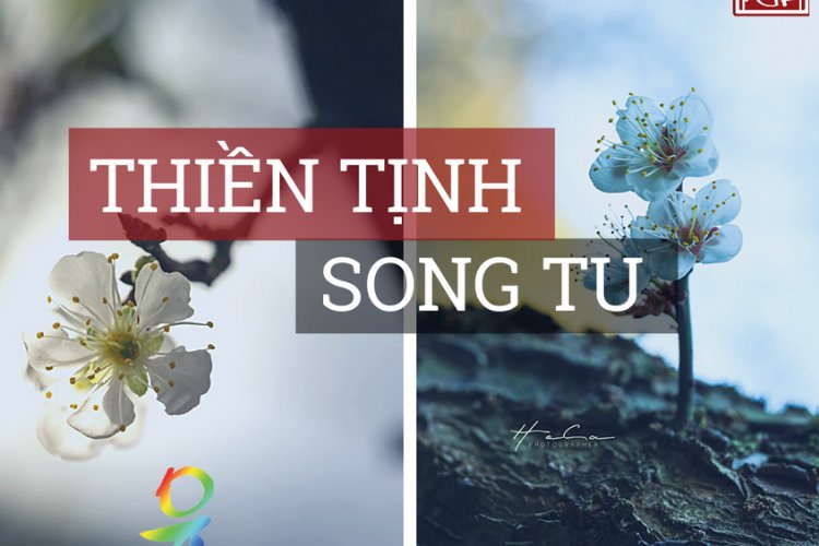 Thiền Tịnh Song Tu