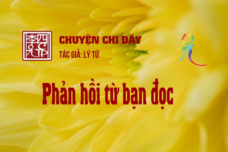Phản Hồi Từ Bạn Đọc