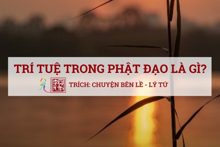 Trí Tuệ Trong Phật Đạo Là Gì