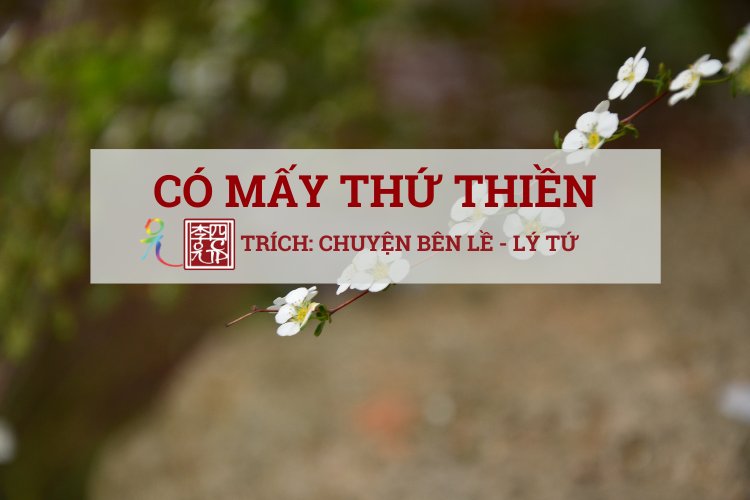 Có Mấy Thứ Thiền