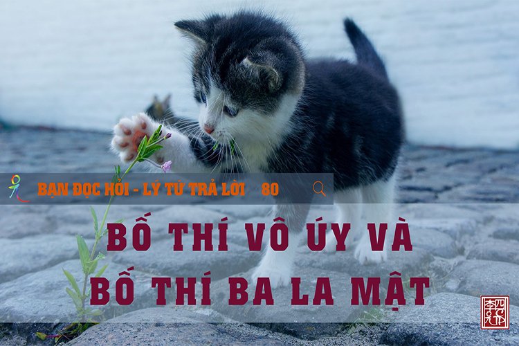 Bố Thí Vô Úy Và Bố Thí Ba La Mật