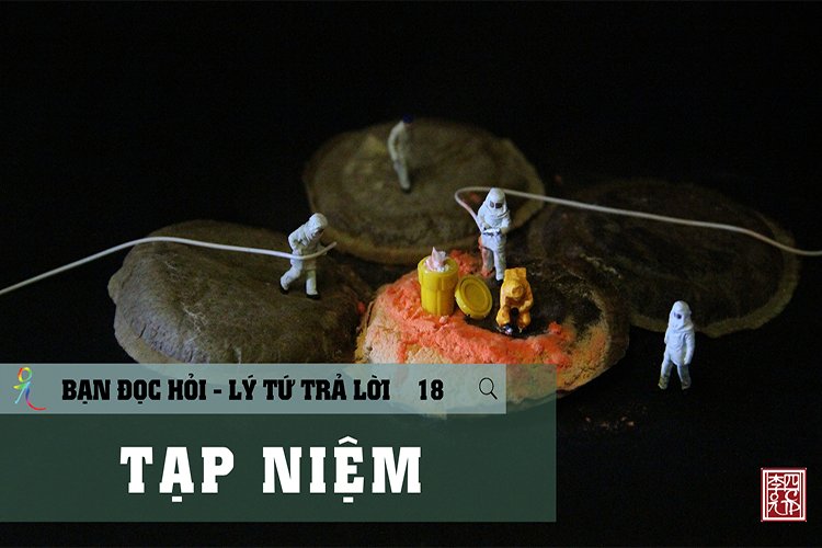 Tạp Niệm