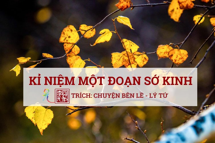 Kỷ Niệm Một Đoạn Sớ Kinh