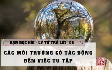 Môi Trường Tu Tập