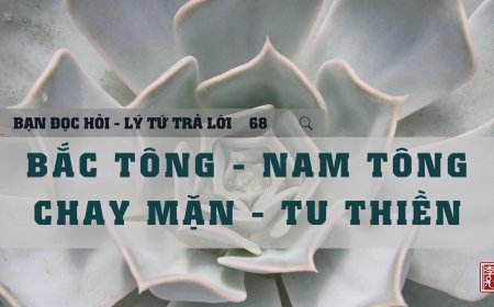 Bắc Tông và Nam Tông Chay Mặn và Tu Thiền