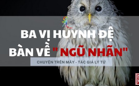 Ba Vị Huynh Đệ Bàn Về Ngũ Nhãn