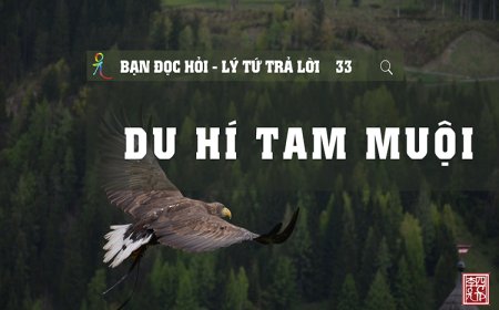 Du Hí Tam Muội