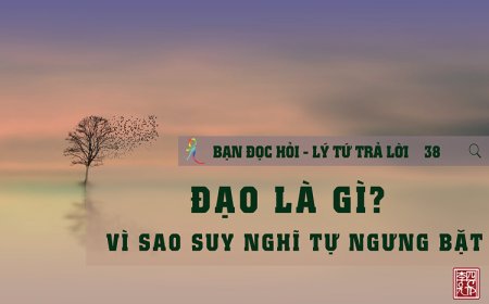 Đạo Là Gì Vì Sao Suy Nghĩ Tự Ngưng Bặt