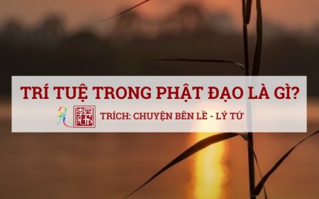 Trí Tuệ Trong Phật Đạo Là Gì