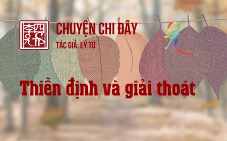 Thiền Định Và Giải Thoát