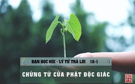 Chủng Tử Của Phật Độc giác