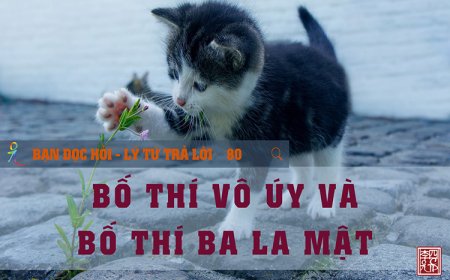 Bố Thí Vô Úy Và Bố Thí Ba La Mật