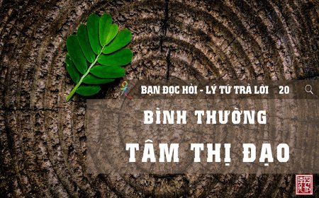 Bình Thường Tâm Thị Đạo
