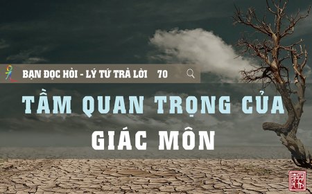 Tầm Quan Trọng Của Giác Môn
