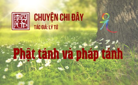 Phật Tánh Và Pháp Tánh