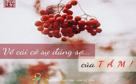 Tản Mạn Về Cái Cớ Sự Đáng Sợ Của Tâm Viết Cho HĐ Lý Gia
