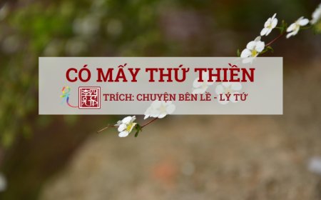 Có Mấy Thứ Thiền