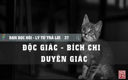 Độc Giác Bích Chi Duyên Giác