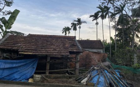 Bốn Bệnh Của Viên Giác