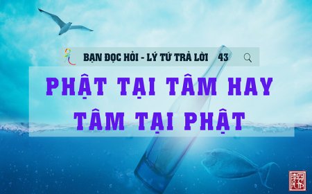 Phật Tại Tâm Hay Tâm Tại Phật