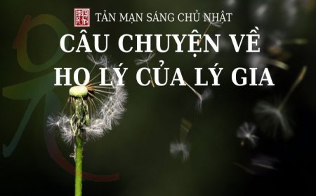 Tản Mạn Sáng Chủ Nhật Câu Chuyện Về Họ Lý Của Lý Gia