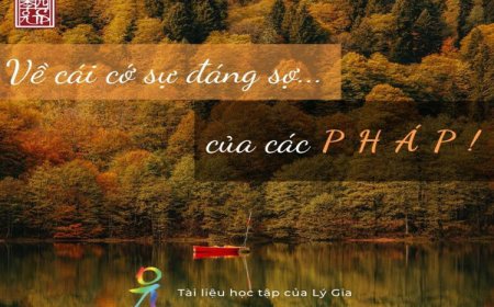 Tản Mạn Về Cớ Sự Đáng Sợ Của Các Pháp Viết Cho HĐ Lý Gia