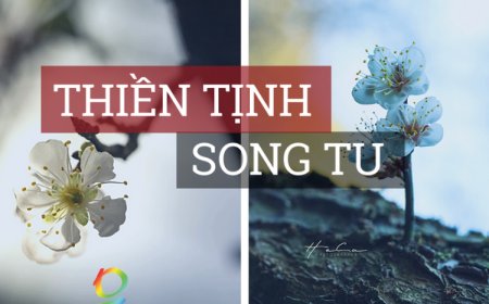Thiền Tịnh Song Tu