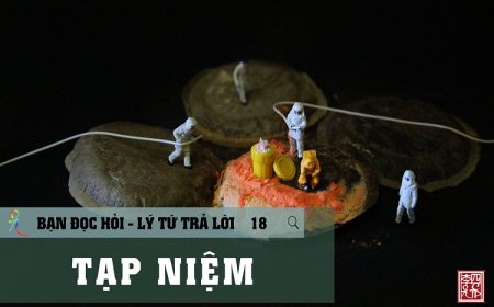 Tạp Niệm