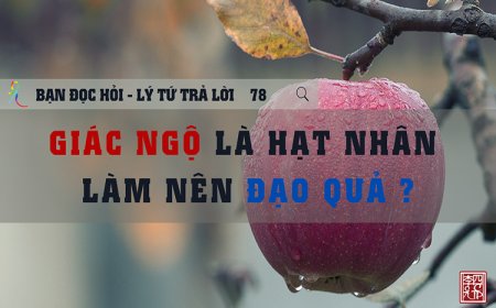 Giác Ngộ Là Hạt Nhân Làm Nên Đạo Quả