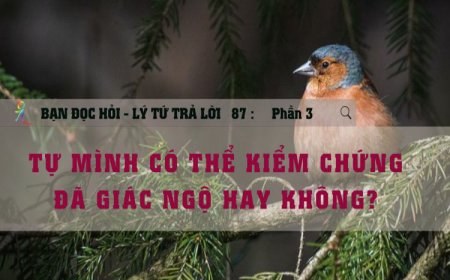 Tự Mình Có Thể Kiểm Chứng Đã Giác Ngộ Hay Không