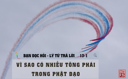 Vì Sao Có Nhiều Tông Phái Trong Phật Đạo