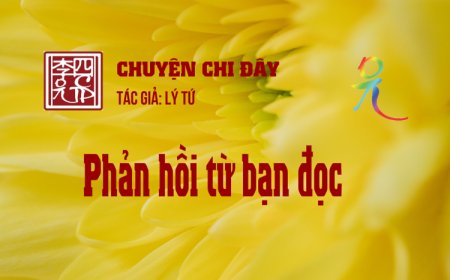 Phản Hồi Từ Bạn Đọc