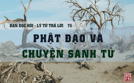 Phật Đạo Và Chuyện Sanh Tử
