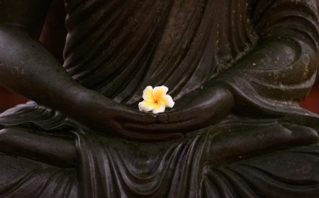 Khổ Não Tâm và Trí