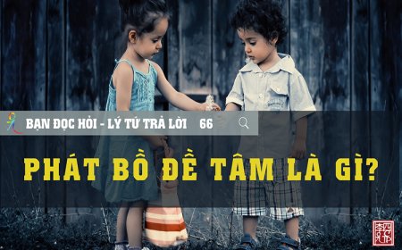 Phát Bồ Đề Tâm Là Gì