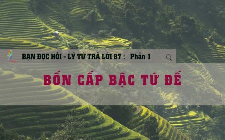 Bốn Cấp Bậc Tứ Đế