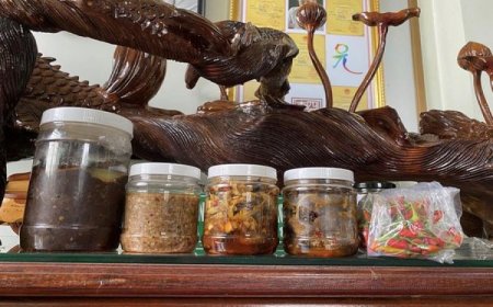 Tản Mạn Đầu Tuần