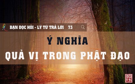 Ý Nghĩa Quả Vị Trong Phật Đạo