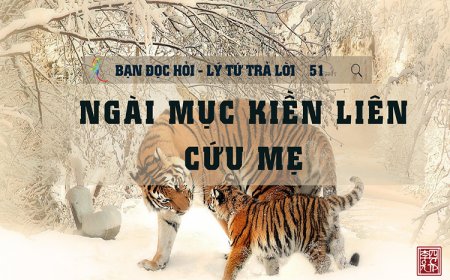 Mục Kiền Liên Cứu Mẹ