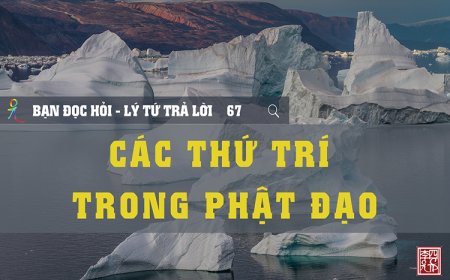 Các Thứ Trí Trong Phật Đạo